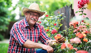 a smiling person clipping flowers from their garden